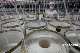 中國紡織業(yè)供應鏈將由低端向高端發(fā)展