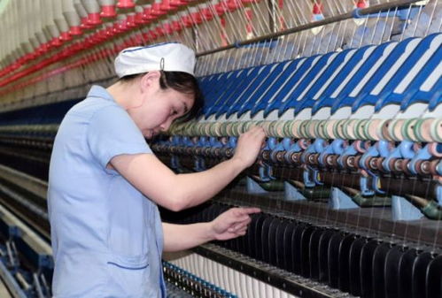 200噸變20噸 想濫竽充數(shù)結(jié)果產(chǎn)品堆積,現(xiàn)又想起我國的好