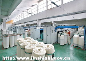 宏力紡織 產業集群驅動，鑄就百億紡織工程新篇章